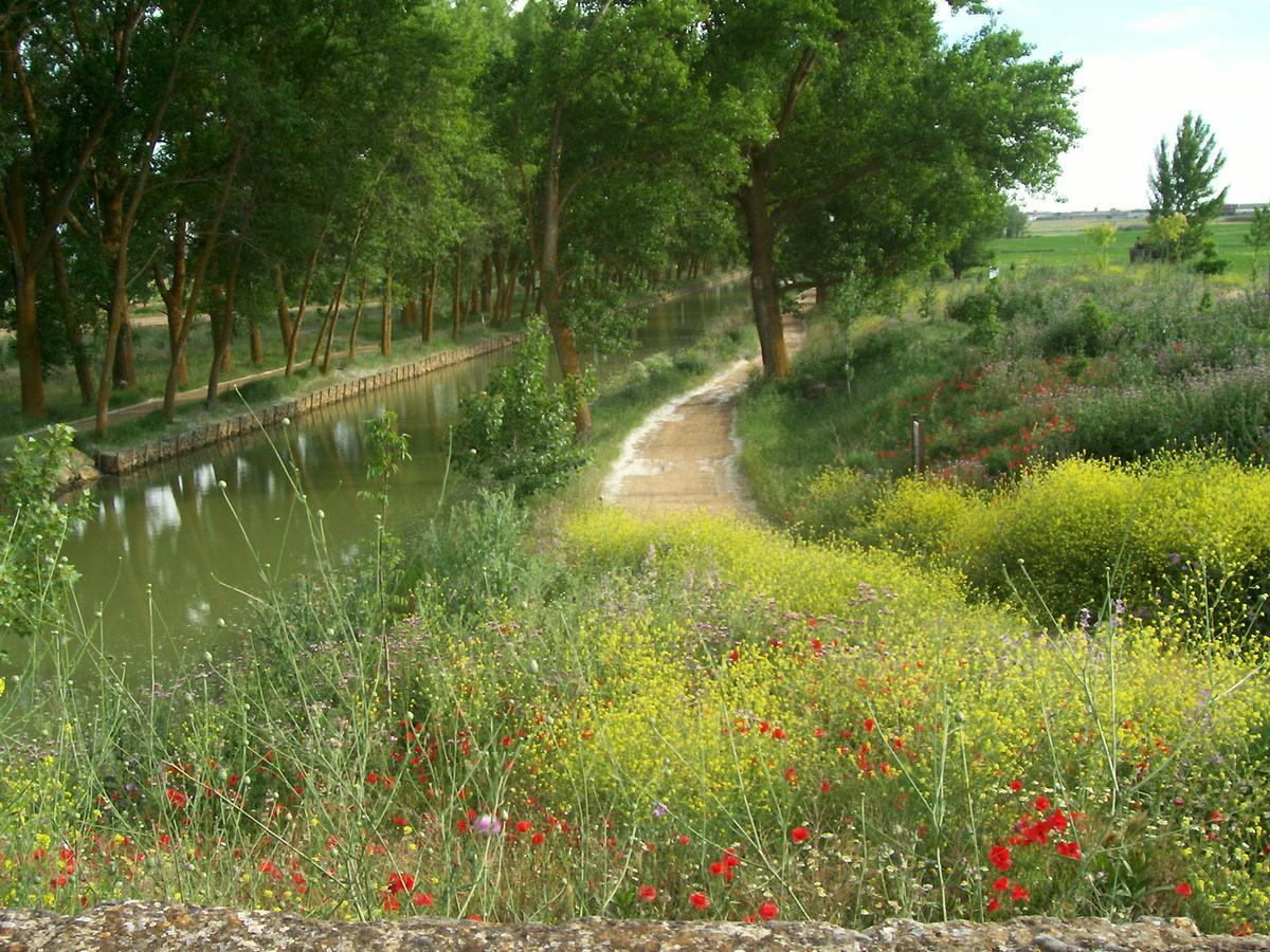 Гостевой дом Quinta Del Canal Тамарис-де-Кампос Экстерьер фото